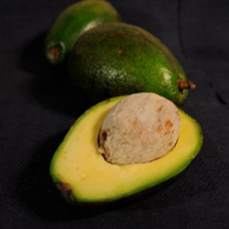 Avocado aus Uganda