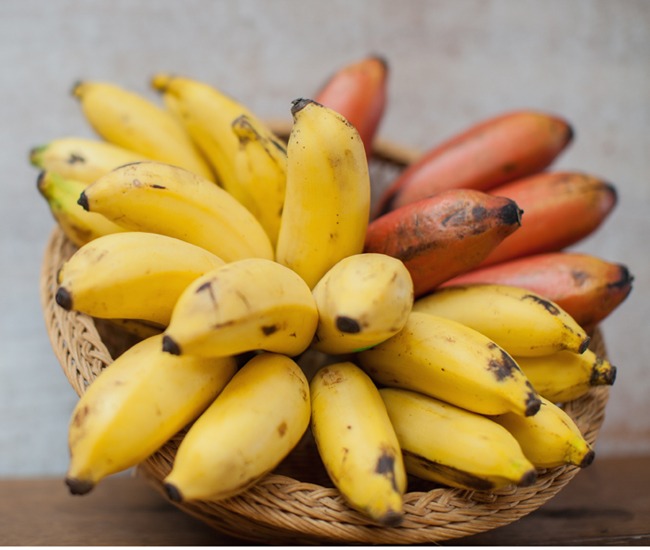 Bananen-Mix mit 2kg – Fairköstlich