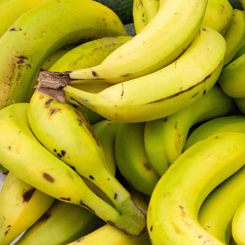 Plátano de Canarias