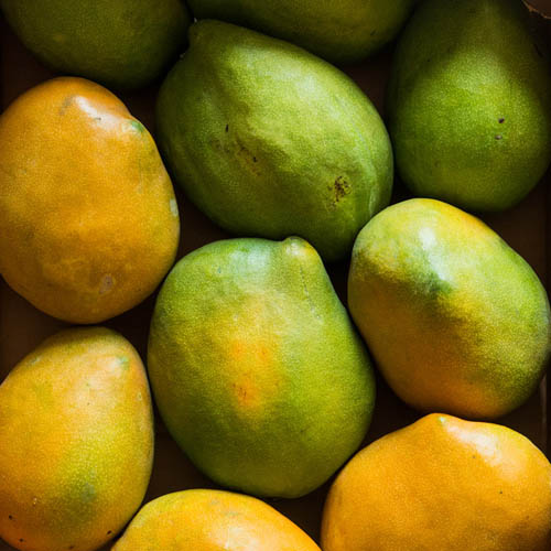 mango amelie
