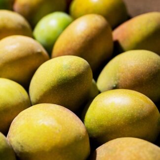 Mango Lippens